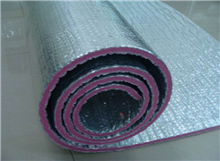 EPE鍦版殩鍙嶅皠鑶? width=